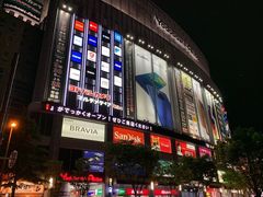 -秋叶原电器街