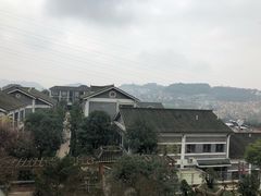 -老幺泉水鸡