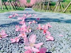 -福建鲤鱼洲酒店