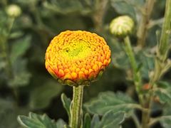 -共青国家森林公园-售票处