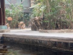 -龙达温泉生态城