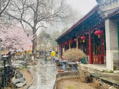 -白家大院·王府宫廷菜(苏州街店)