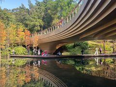 -云溪植物园