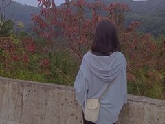 -广州白江湖森林公园