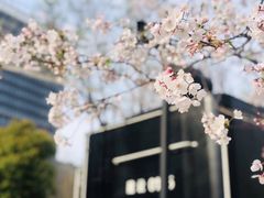 -新天地活力PARK