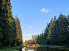 -黄海国家森林公园