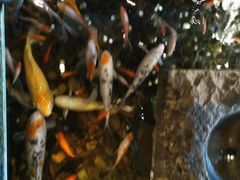 -功德林(南京西路店)
