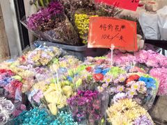 -溪岸路花鸟市场