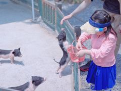 -前小桔亲子创意农场·草莓采摘·露营烧烤