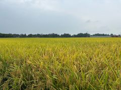 -中国天府农业博览园