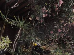 -第101座花园餐厅(湖滨88店)