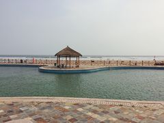 -日照海滨国家森林公园