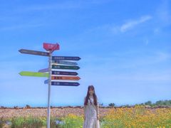 -伏羲山旅游区