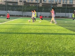 -小赛虎少儿足球培训(南翔校区)