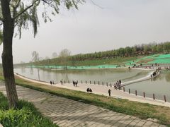 -洨河生态公园