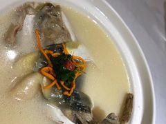 -肆月河豚·新淮扬(金融街店)