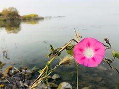 -小赖鱼馆