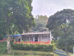 -广州市帽峰山景区