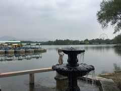 -石家庄市植物园