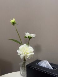 -上海玫瑰医疗美容医院