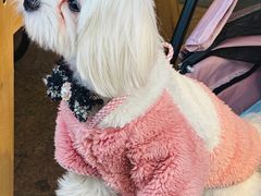 -佛山京华广场MALL