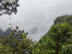 -刘伯温故里景区百丈漈