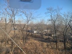 -丁香湖公园