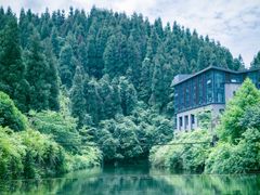 -龙苍沟森林公园