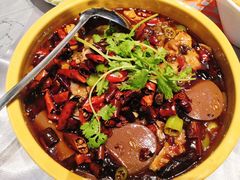 精品毛血旺-红辣椒·川菜·火锅(大洋中心店)