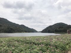 -广州市石门国家森林公园