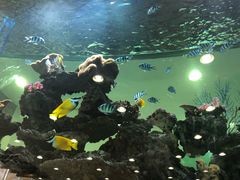 -渔民新村(番禺总店)