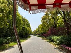 -上海海湾国家森林公园