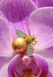 -GiO挚澳珠宝(侨福芳草地店)