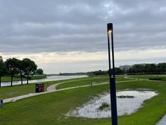 -春花秋色城市公园