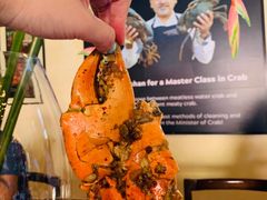 -Ministry of Crab(科伦坡店)