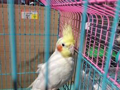 -龟与熊猫宠物公园(南坪店)