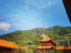 -深圳仙湖植物园