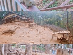 -昆明动物园