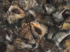 -宾朋海鲜特色美食餐厅·纯手工鲅鱼水饺(兴海路店)