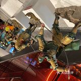 来吃小龙虾🦞呀