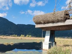 -腾冲北海湿地