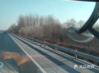 好久没看到这么多树了，虽然叶子都落没了，感觉还不错