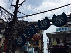 -猫咪博物馆(顶澳仔猫街店)