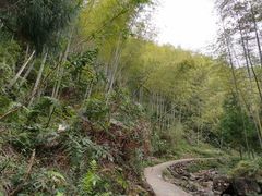 -布袋山风景区
