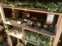 -宜家家居(哈尔滨商场店)