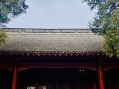 -洛阳白马寺