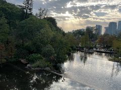 -云溪植物园