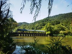 -黔灵山公园