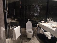 -新加坡乌节希尔顿酒店 (SG Clean)