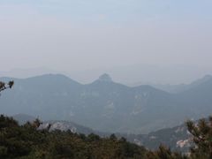 -鲁山国家森林公园